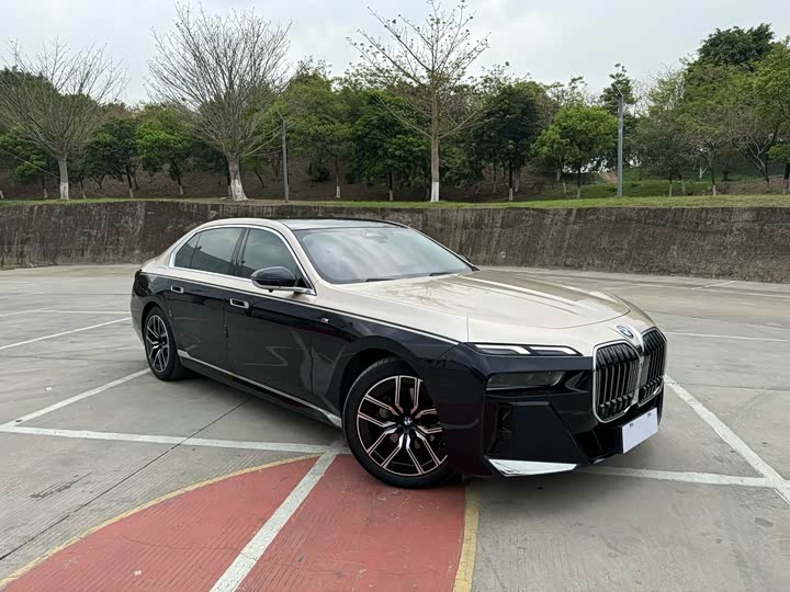 BMW 7 Series 2023 2023款 735Li M运动套装