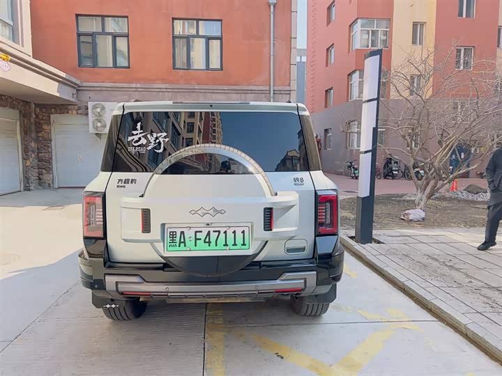 2025 BYD FangChengBao Leopard 8