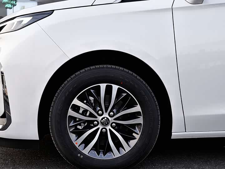 Buick GL8 ES 2025 2025款 陆上公务舱 先享版