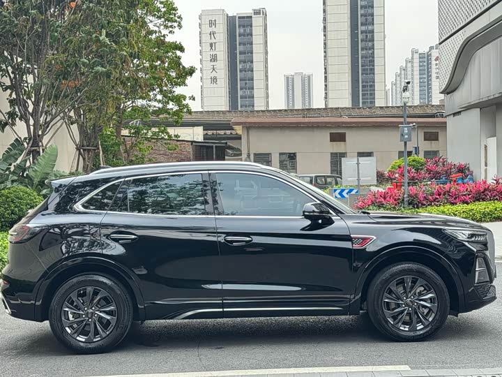 Zdjęcie 6 - Hongqi HS5