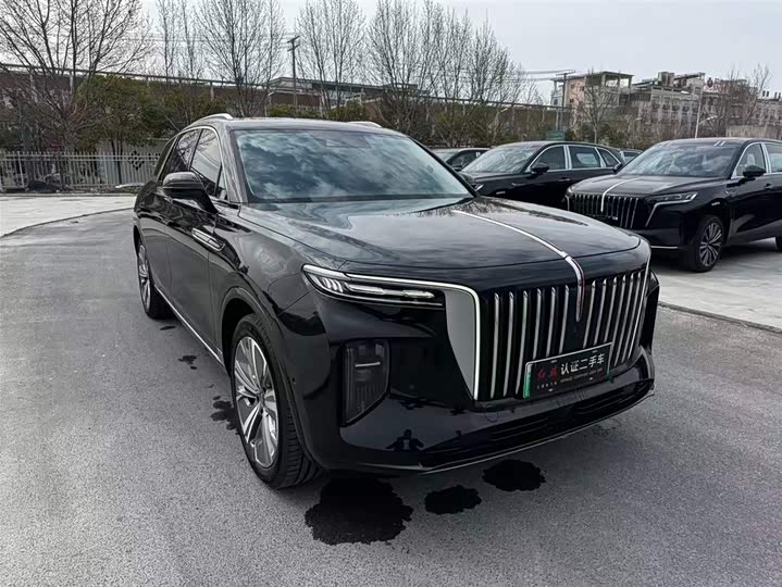 Hongqi E-HS9 2022 2022款 690km 旗享版 六座
