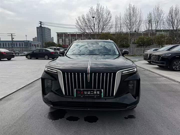 Hongqi E-HS9 2022 2022款 690km 旗享版 六座
