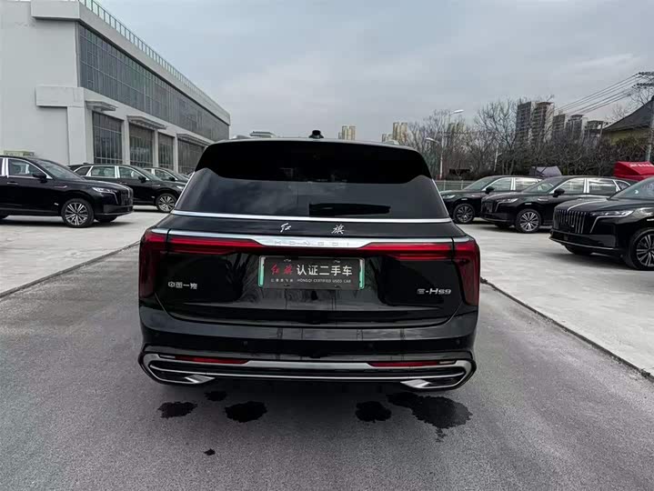 Hongqi E-HS9 2022 2022款 690km 旗享版 六座