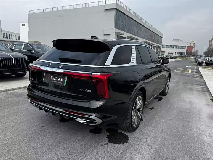 Hongqi E-HS9 2022 2022款 690km 旗享版 六座