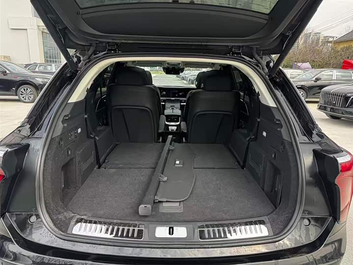 Hongqi E-HS9 2022 2022款 690km 旗享版 六座