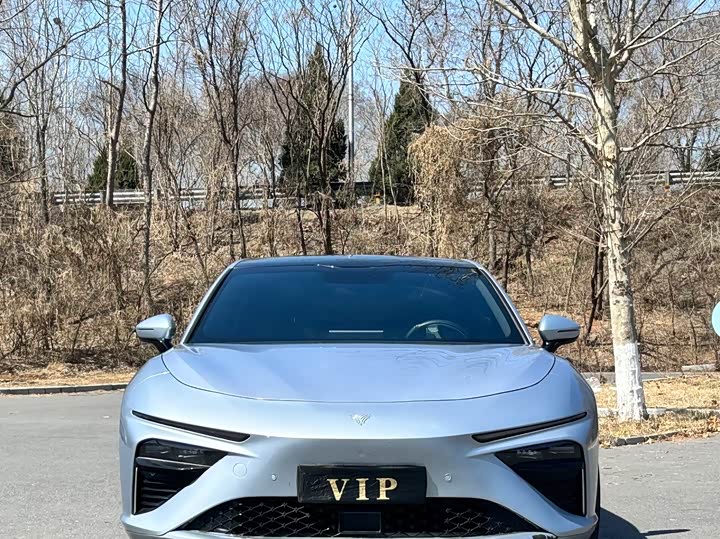 2024 Hozon S