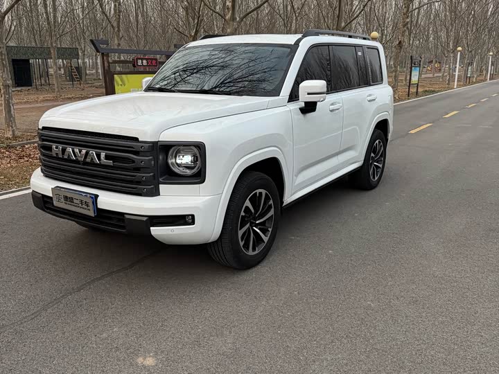 Haval H9 2024 2024款 2.4T 柴油四驱极境版