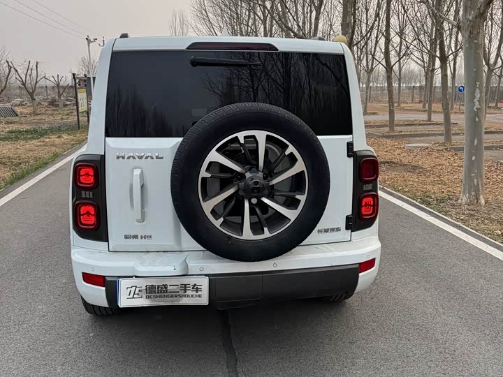 Haval H9 2024 2024款 2.4T 柴油四驱极境版