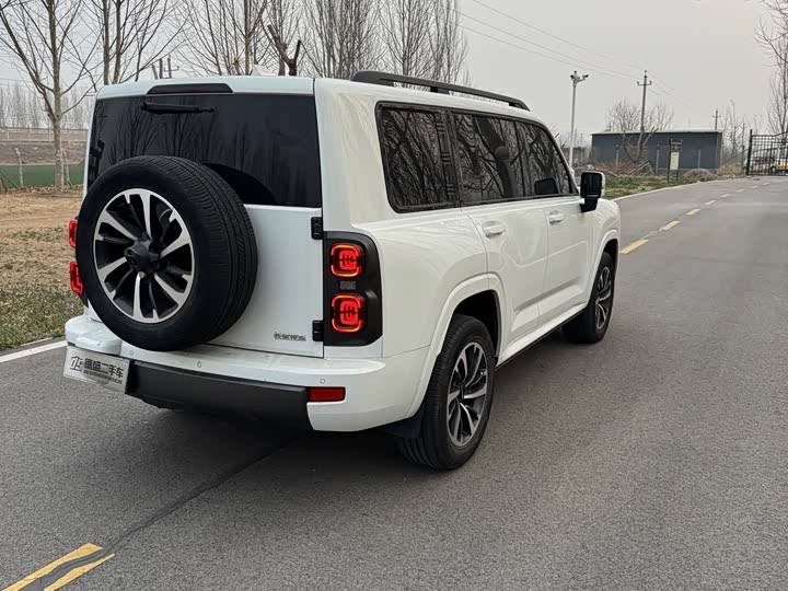 Haval H9 2024 2024款 2.4T 柴油四驱极境版