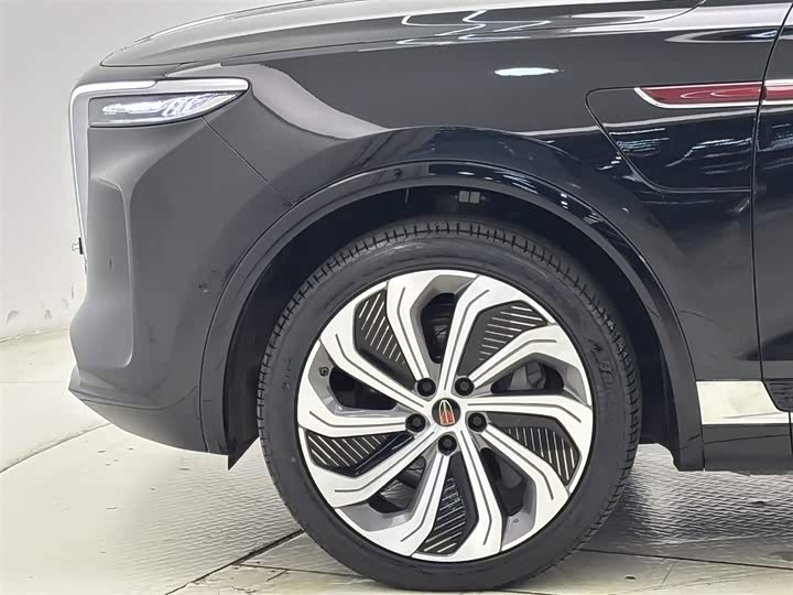 Hongqi E-HS9 2022 2022款 660km 旗领版 四座