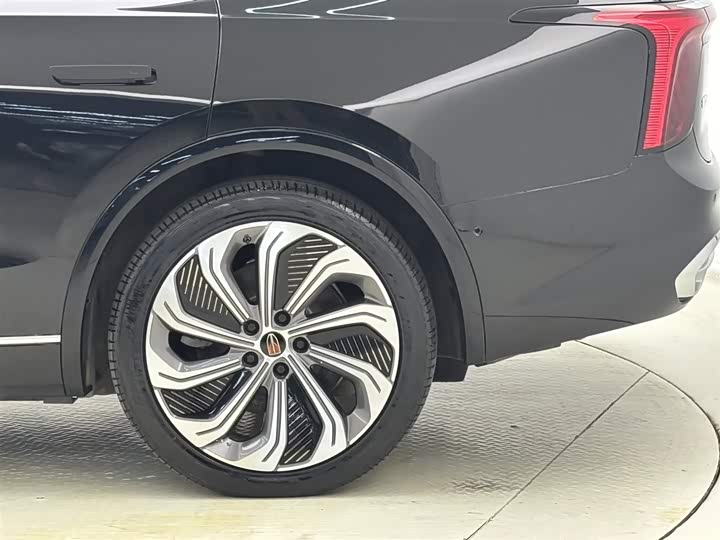 Hongqi E-HS9 2022 2022款 660km 旗领版 四座