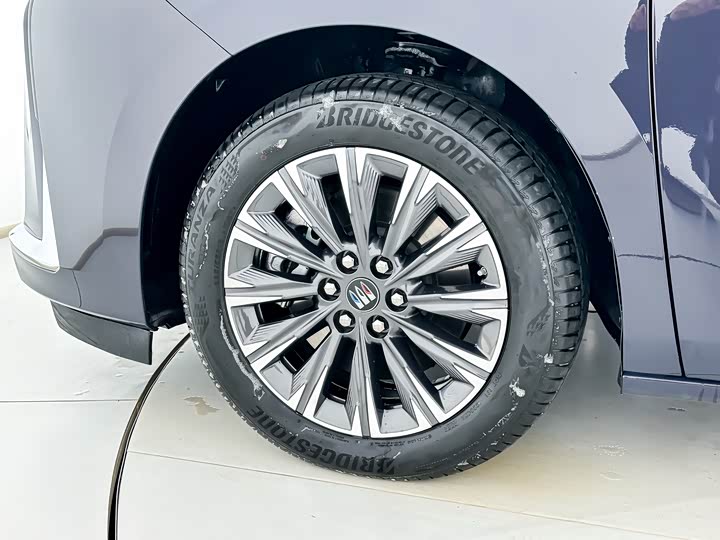Buick GL8 ES 2025 2025款 陆尊 尊享版