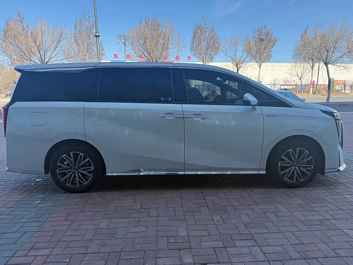 Фото 4 - GAC Trumpchi M8