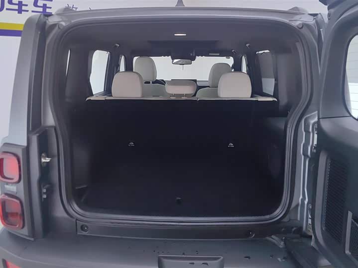 Haval Raptor Hybrid 2024 2024款 Hi4 145 穿越版