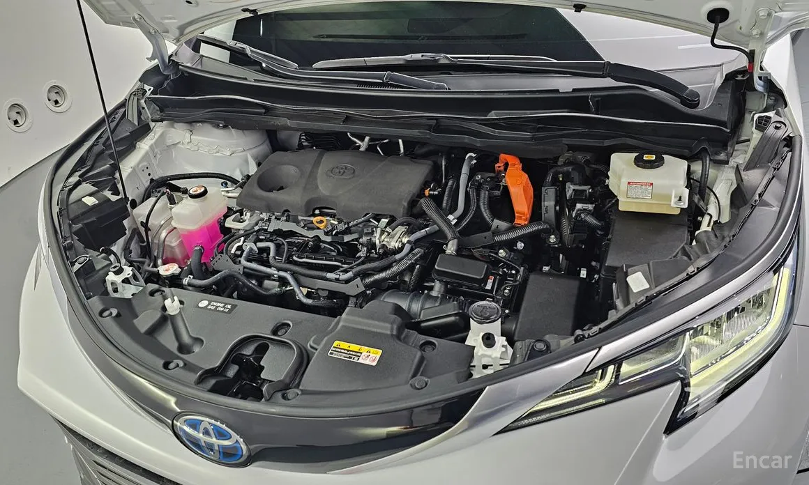 Фото 6 - Toyota Sienna