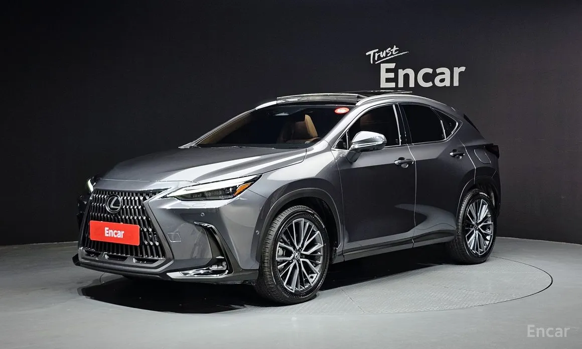 Lexus NX 2022 Luxury