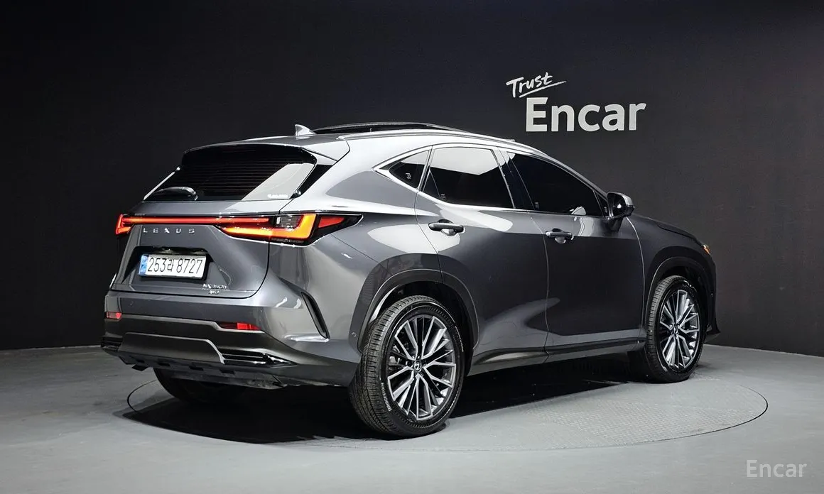 Lexus NX 2022 Luxury
