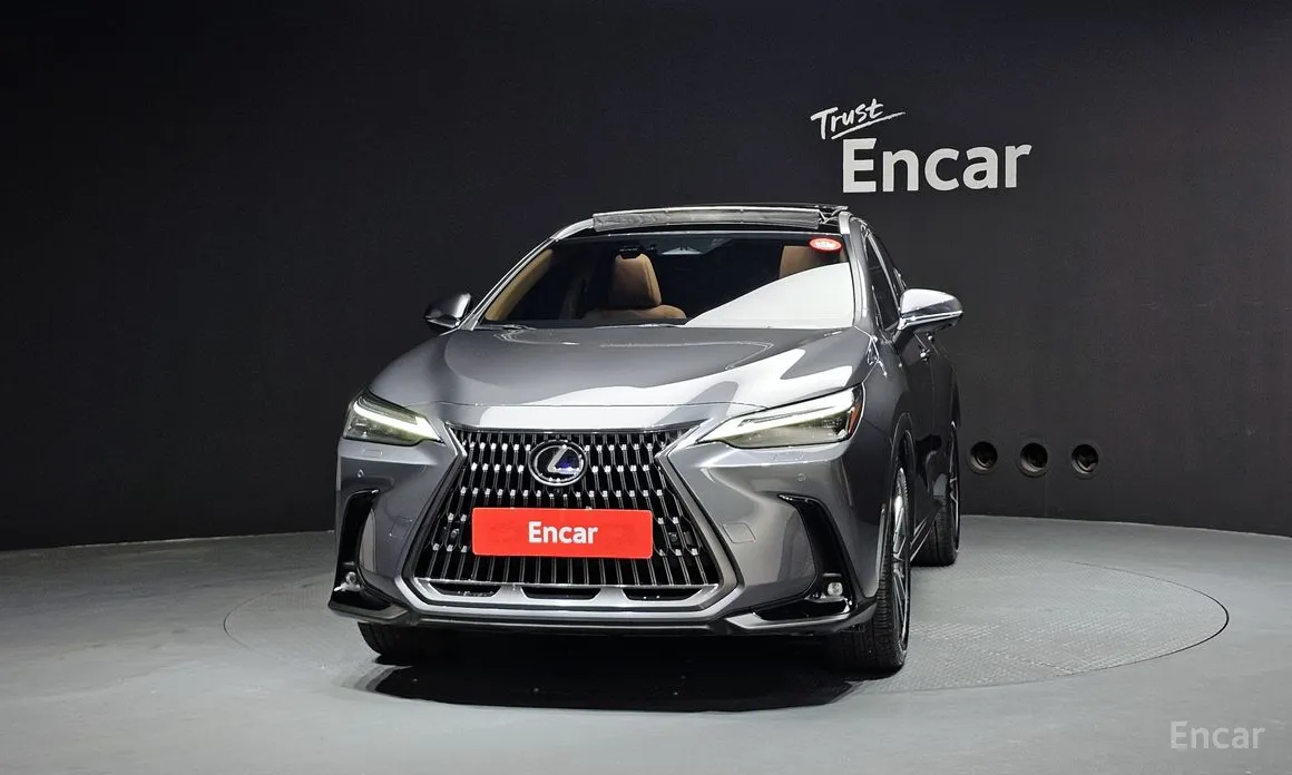 Lexus NX 2022 Luxury