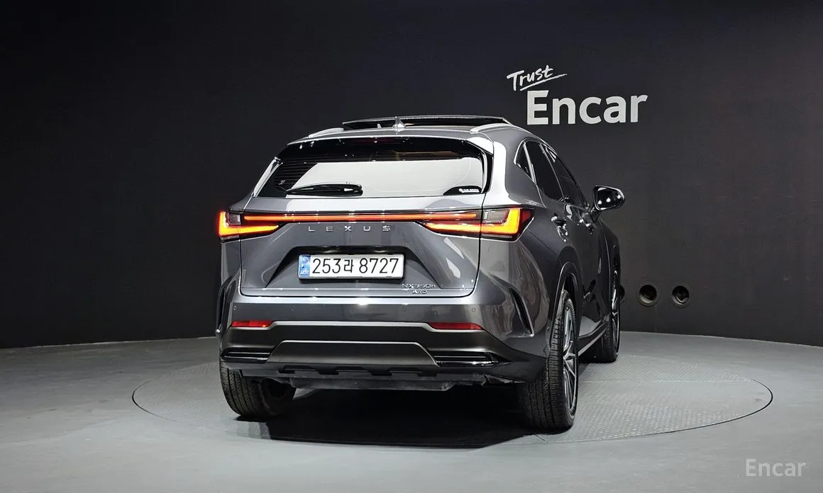 Lexus NX 2022 Luxury