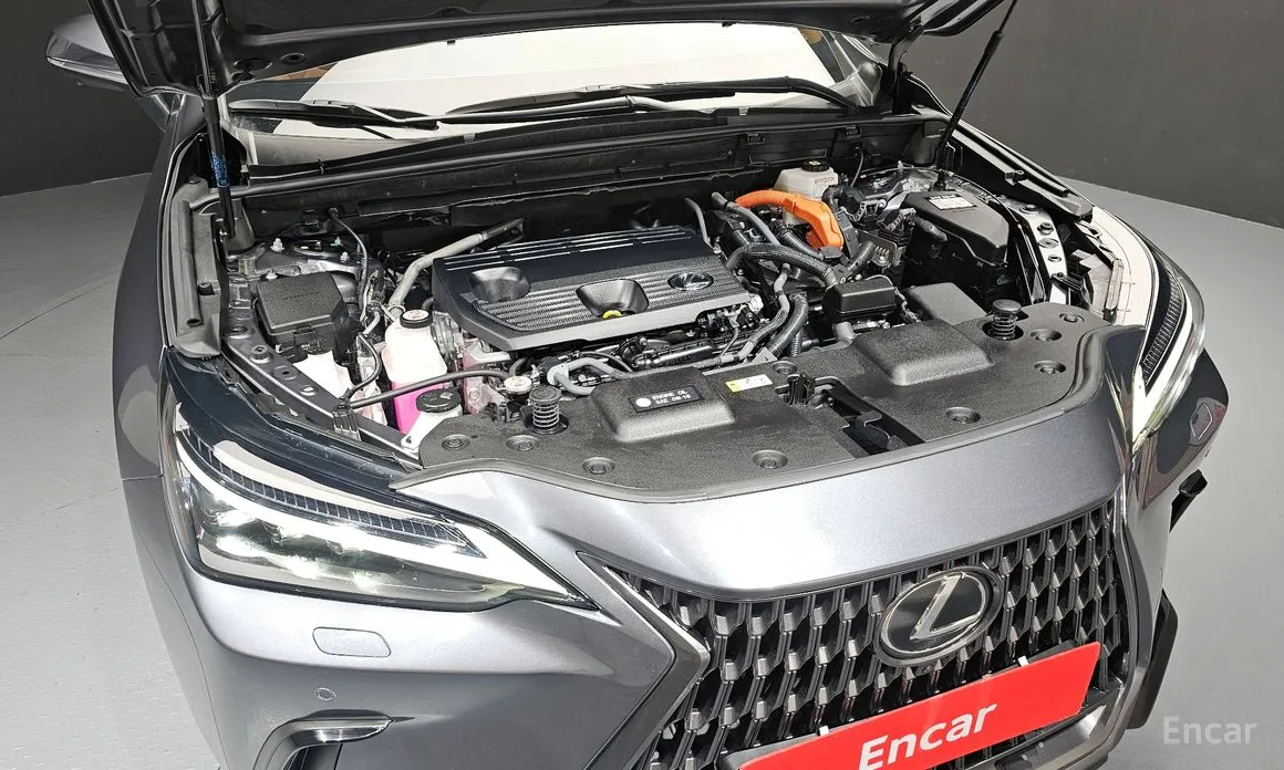 Lexus NX 2022 Luxury
