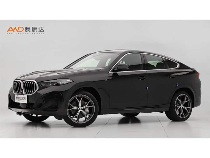 2023 BMW X6