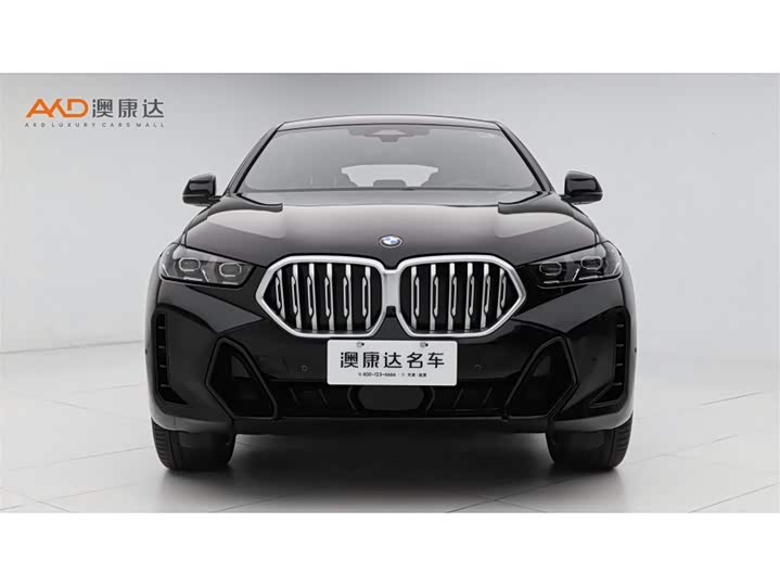 2023 BMW X6