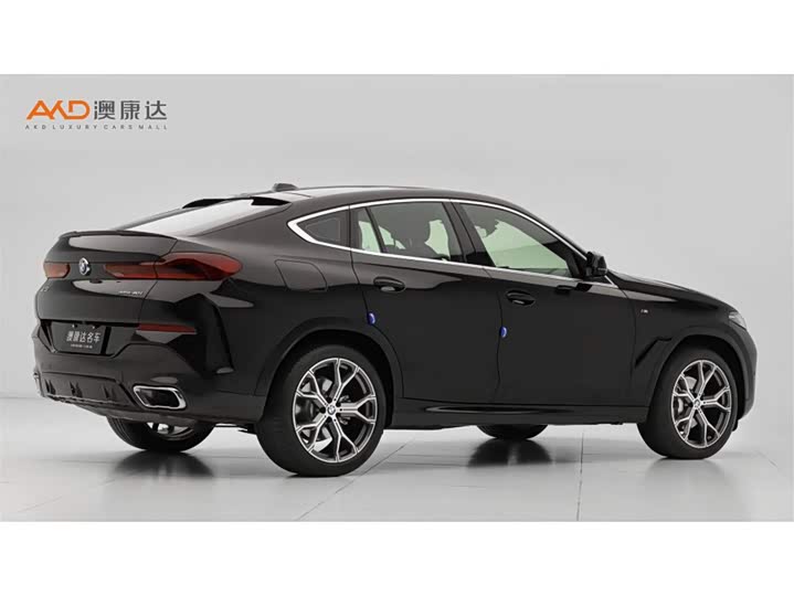 2023 BMW X6