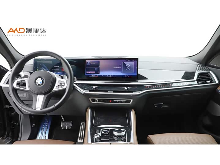 2023 BMW X6