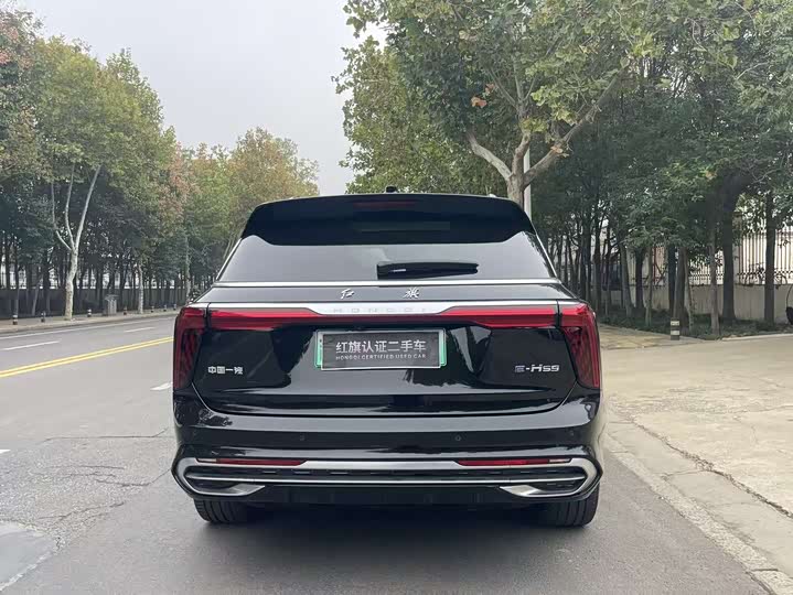 Hongqi E-HS9 2022 2022款 660km 旗畅版 六座