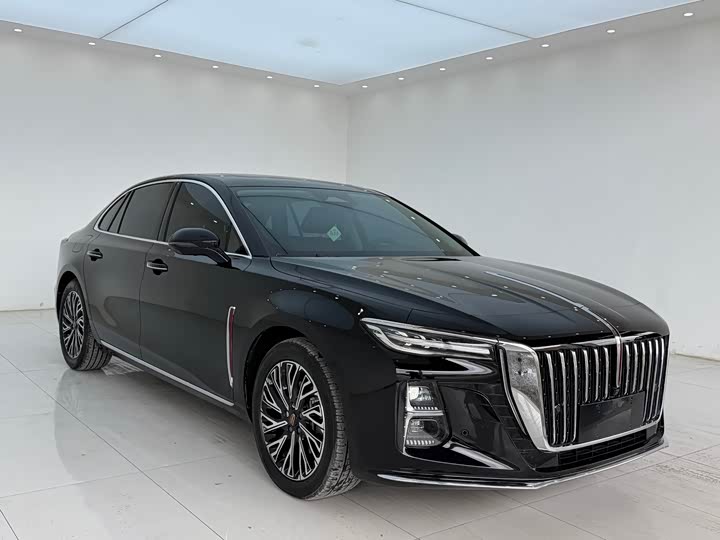 Zdjęcie 3 - Hongqi H5