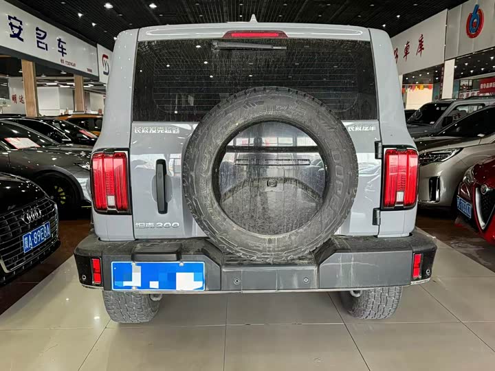 Photo 5 - Tank 300
