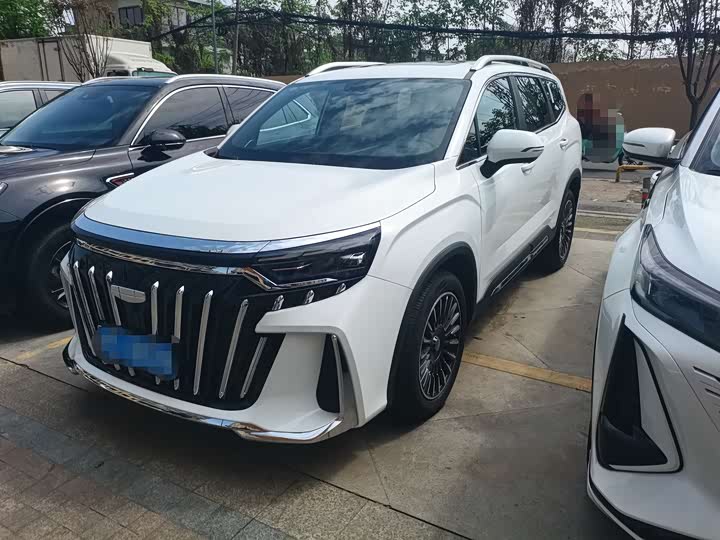 Geely Okavango L 2025 2025款 2.0T DCT尊享款