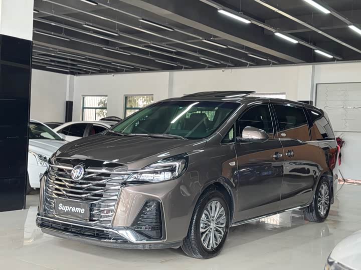 Zdjęcie 8 - Buick GL8 ES
