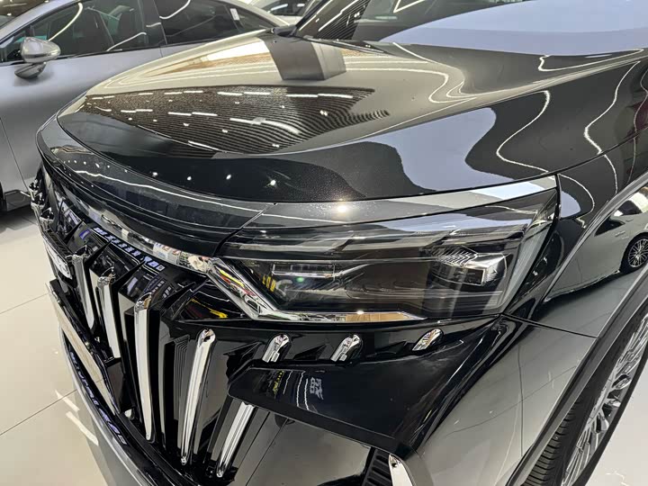 Geely Okavango L 2025 2025款 2.0T DCT尊享款