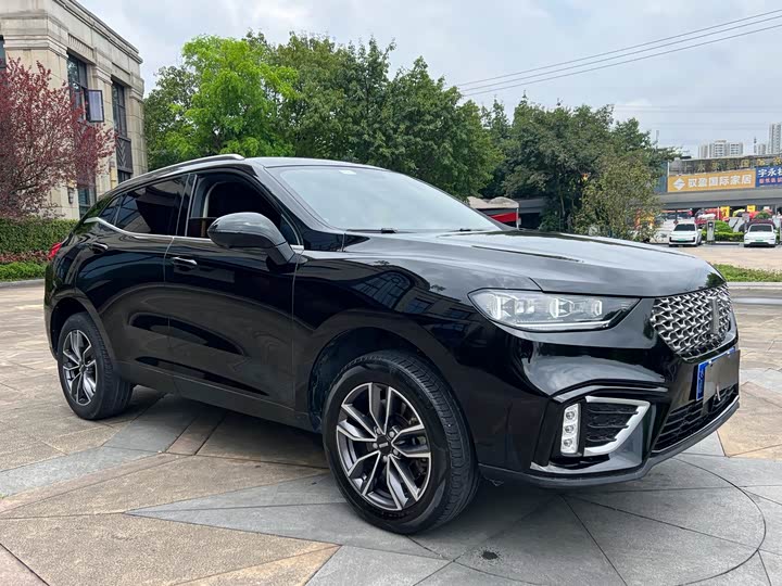 2021 Wey VV5