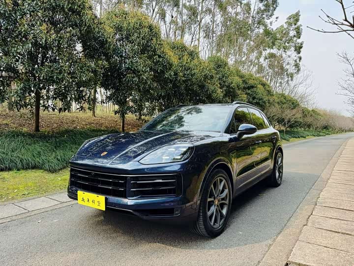 Porsche Cayenne 2025 2025款 Cayenne 3.0T