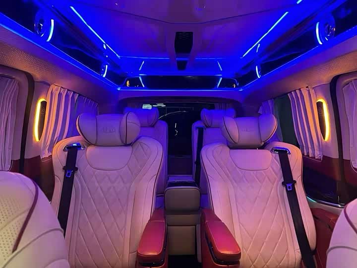 Mercedes-Benz V-Class 2022 2022款 V 260 L 长轴距豪华版