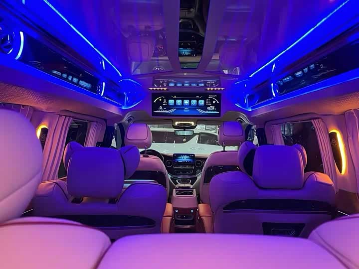 Mercedes-Benz V-Class 2022 2022款 V 260 L 长轴距豪华版