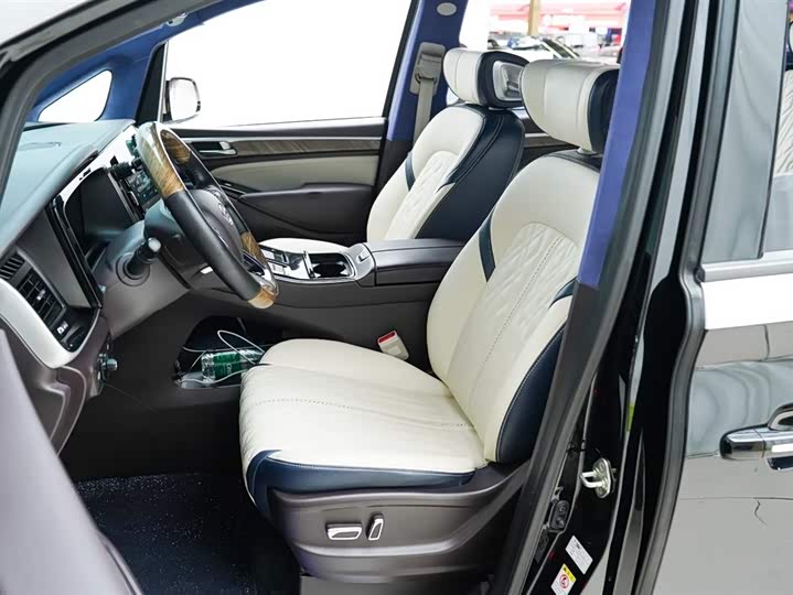 GAC Trumpchi M8 2021 2021款 领秀系列 390T 尊享版