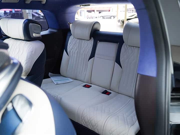 GAC Trumpchi M8 2021 2021款 领秀系列 390T 尊享版