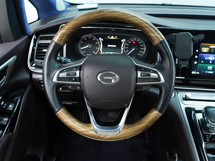 GAC Trumpchi M8 2021 2021款 领秀系列 390T 尊享版