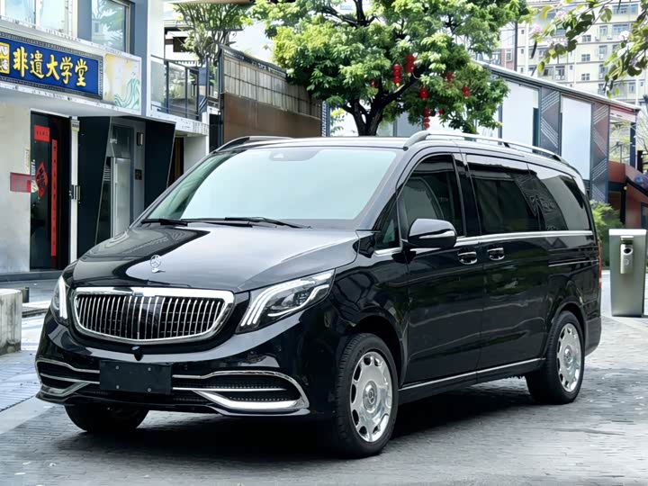 Mercedes-Benz V-Class 2021 2021款 V 260 尊贵版