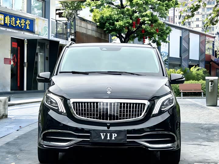 Mercedes-Benz V-Class 2021 2021款 V 260 尊贵版