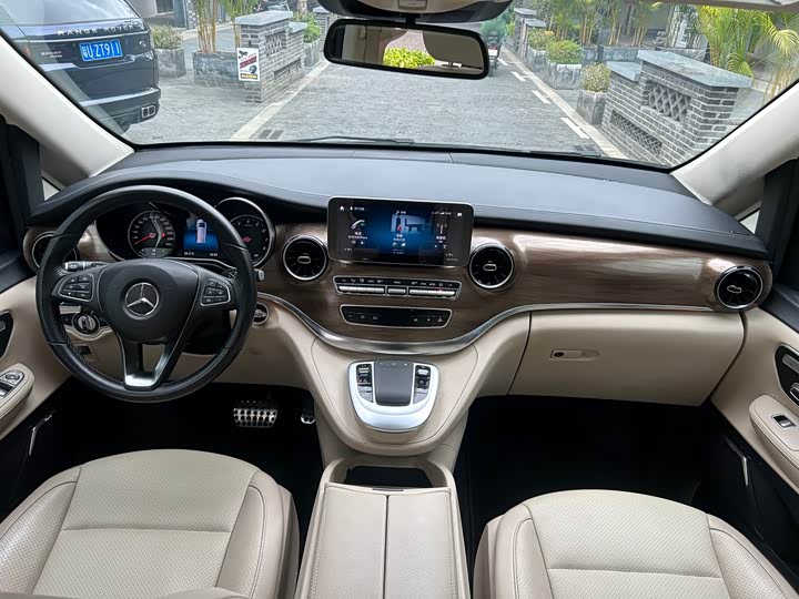 Mercedes-Benz V-Class 2021 2021款 V 260 尊贵版