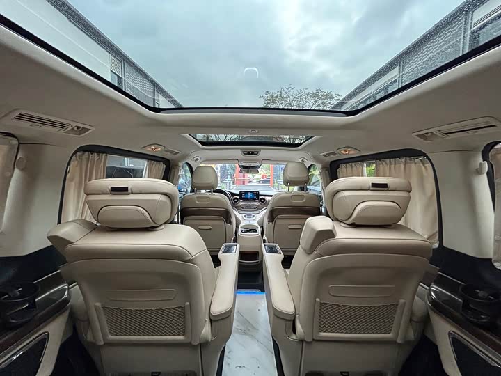 Mercedes-Benz V-Class 2021 2021款 V 260 尊贵版