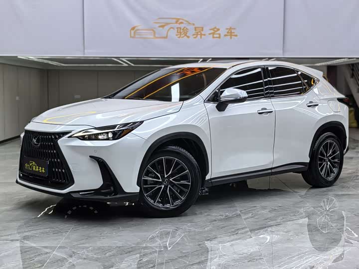 Lexus NX 2024 2024款 260 前驱 创悦版