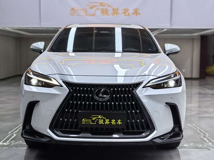 Lexus NX 2024 2024款 260 前驱 创悦版