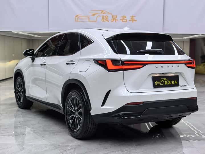 Lexus NX 2024 2024款 260 前驱 创悦版
