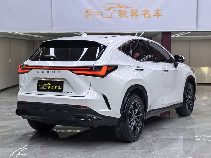 Lexus NX 2024 2024款 260 前驱 创悦版