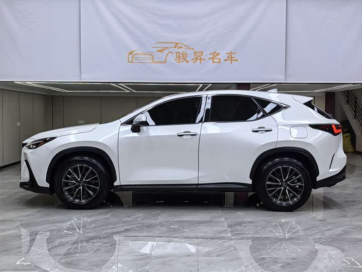 Lexus NX 2024 2024款 260 前驱 创悦版